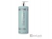 ABRIL ET NATURE CHAMPU AGE RESET 1.000 ML.