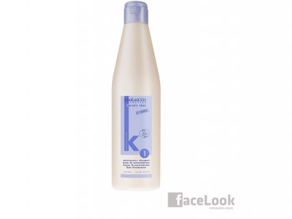 SALERM CHAMPU DE MANTENIMIENTO KERATIN SHOT 500 ML.
