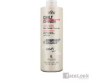 LENDAN TERRA CURLY TRATAMIENTO CO-WASH 1.000 ML.