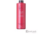 LENDAN COLOR ADDICT CHAMPU PROTECTOR DEL COLOR 1.000 ML.