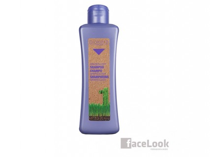 SALERM BIOKERA NATURA CHAMPU GRAPEOLOGY PROTECTOR DEL COLOR 300 ML.