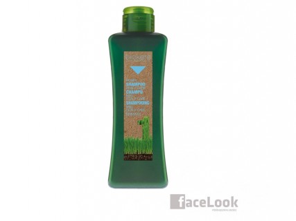 SALERM BIOKERA NATURA CHAMPU MIEL SCALP CARE CUERO CABELLUDO 300 ML.